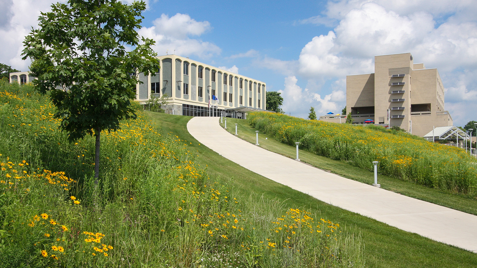 GTC Natural Prairie Renovation - Partners in Design Architects